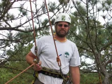 Tree Arborist 